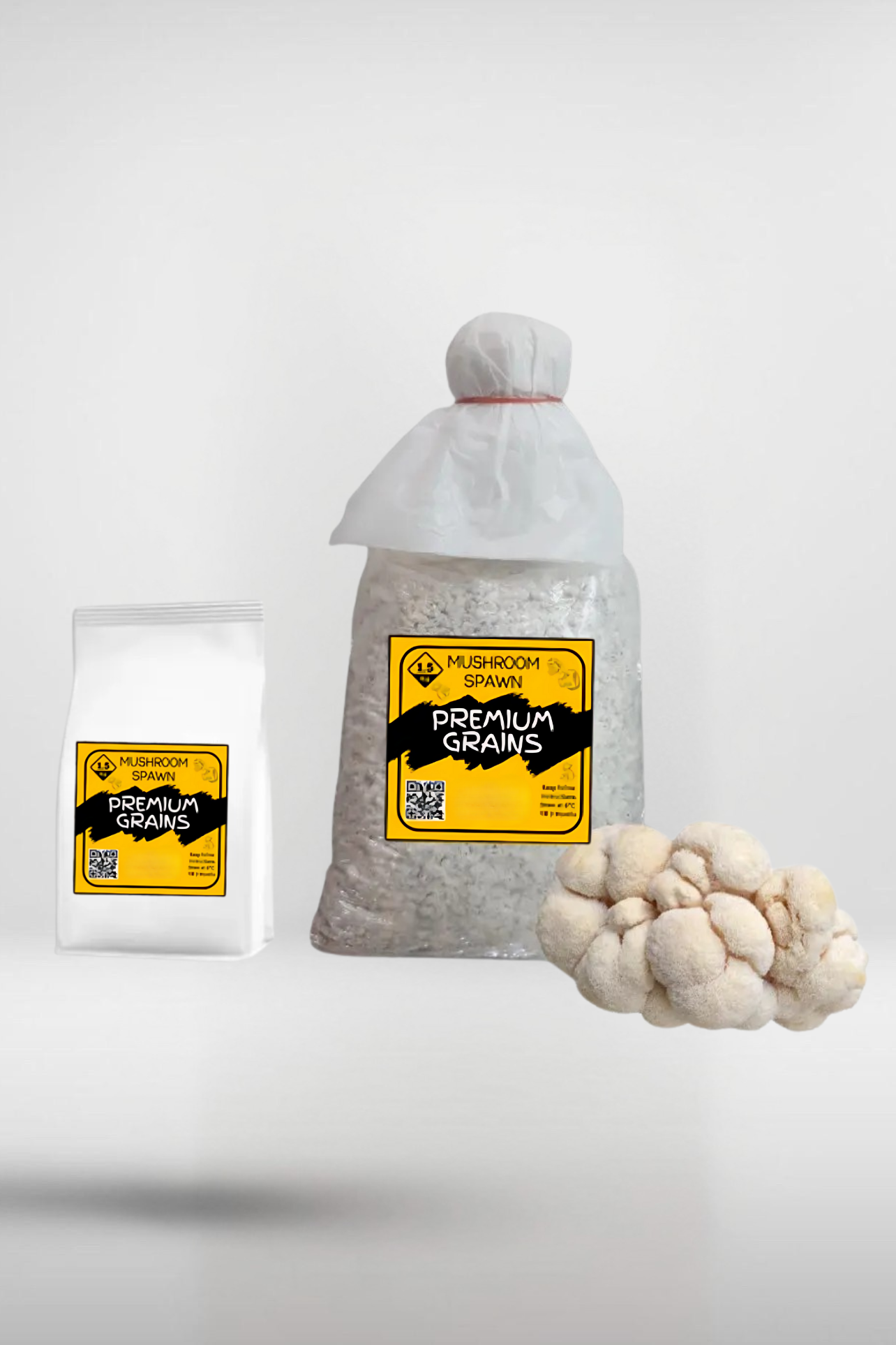 Lion’s Mane Mushroom Grain Spawn – 1.5kg | Strain 118