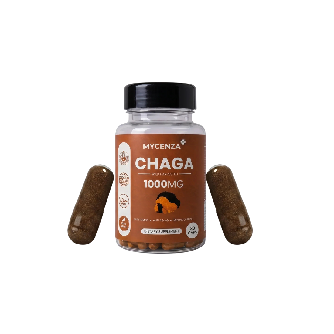 Chaga Mushroom: Nature's Immune-Boosting Powerhouse