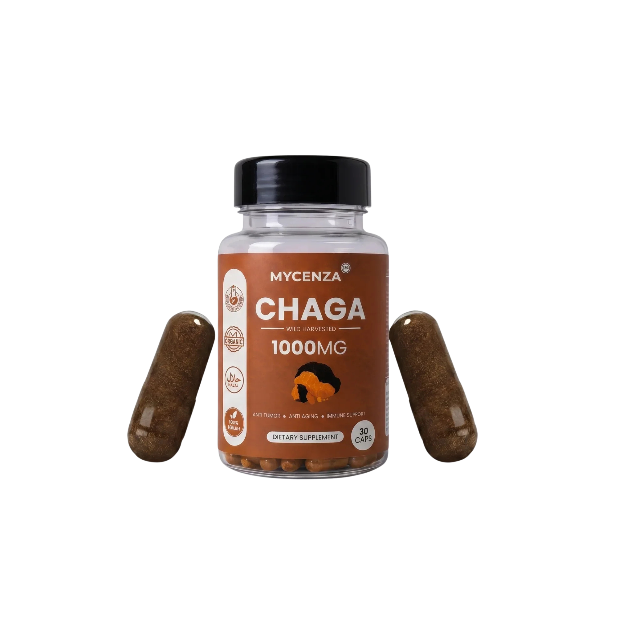 Chaga Mushroom: Nature's Immune-Boosting Powerhouse