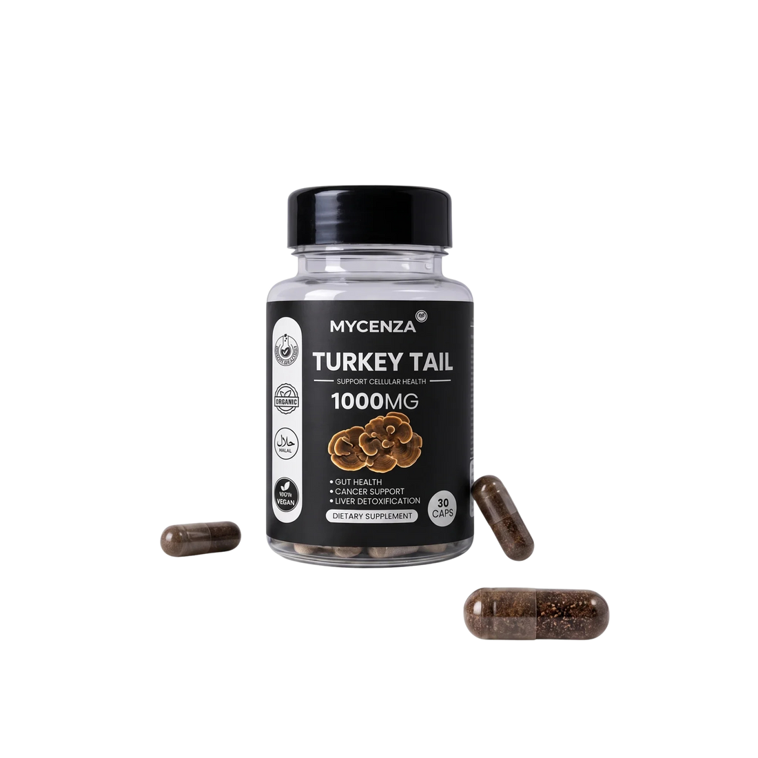 Turkey Tail Mushroom Benefits and Uses