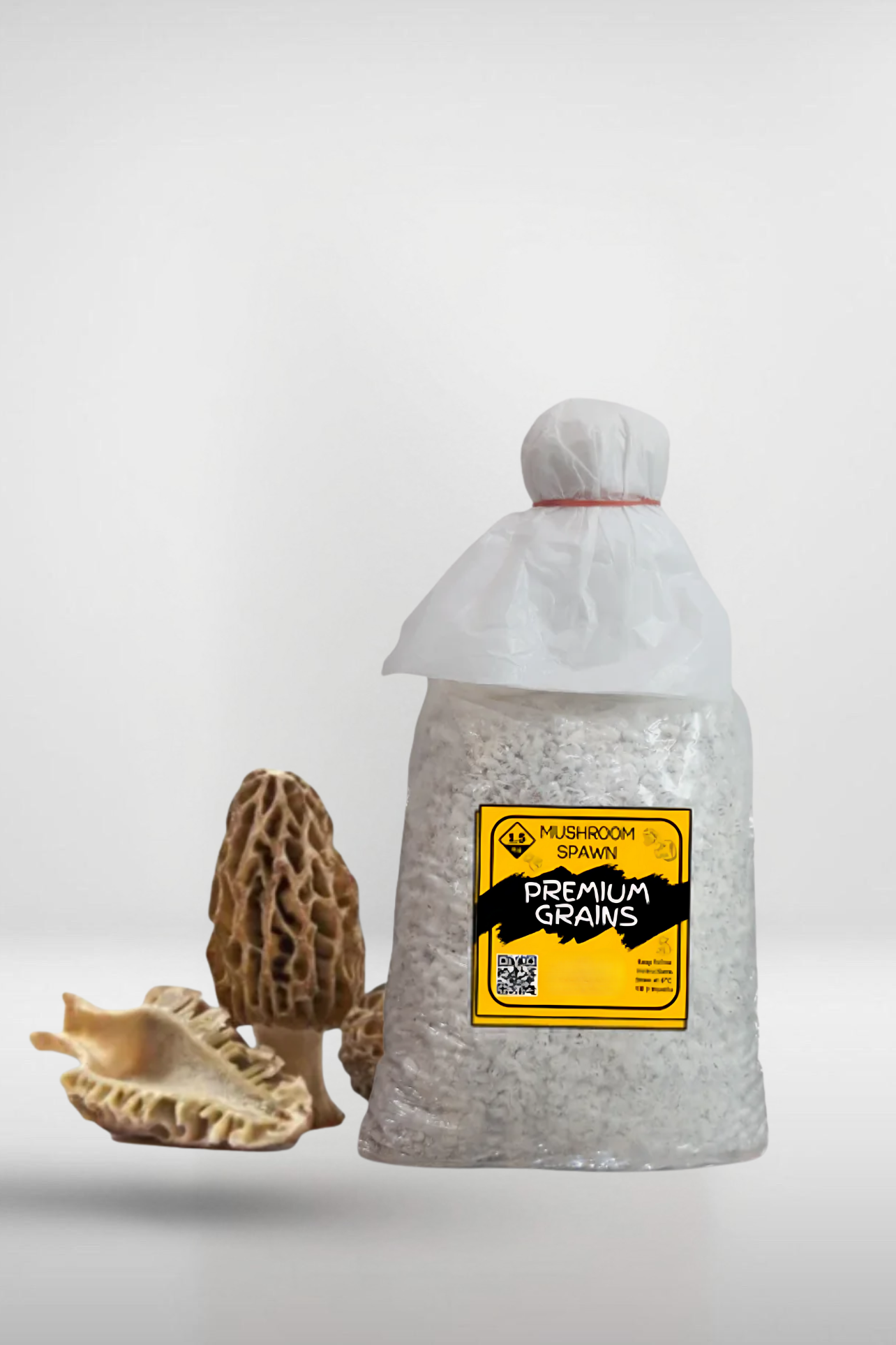 Black Morel Mushroom Grain Spawn – 1.5kg | Strain 191