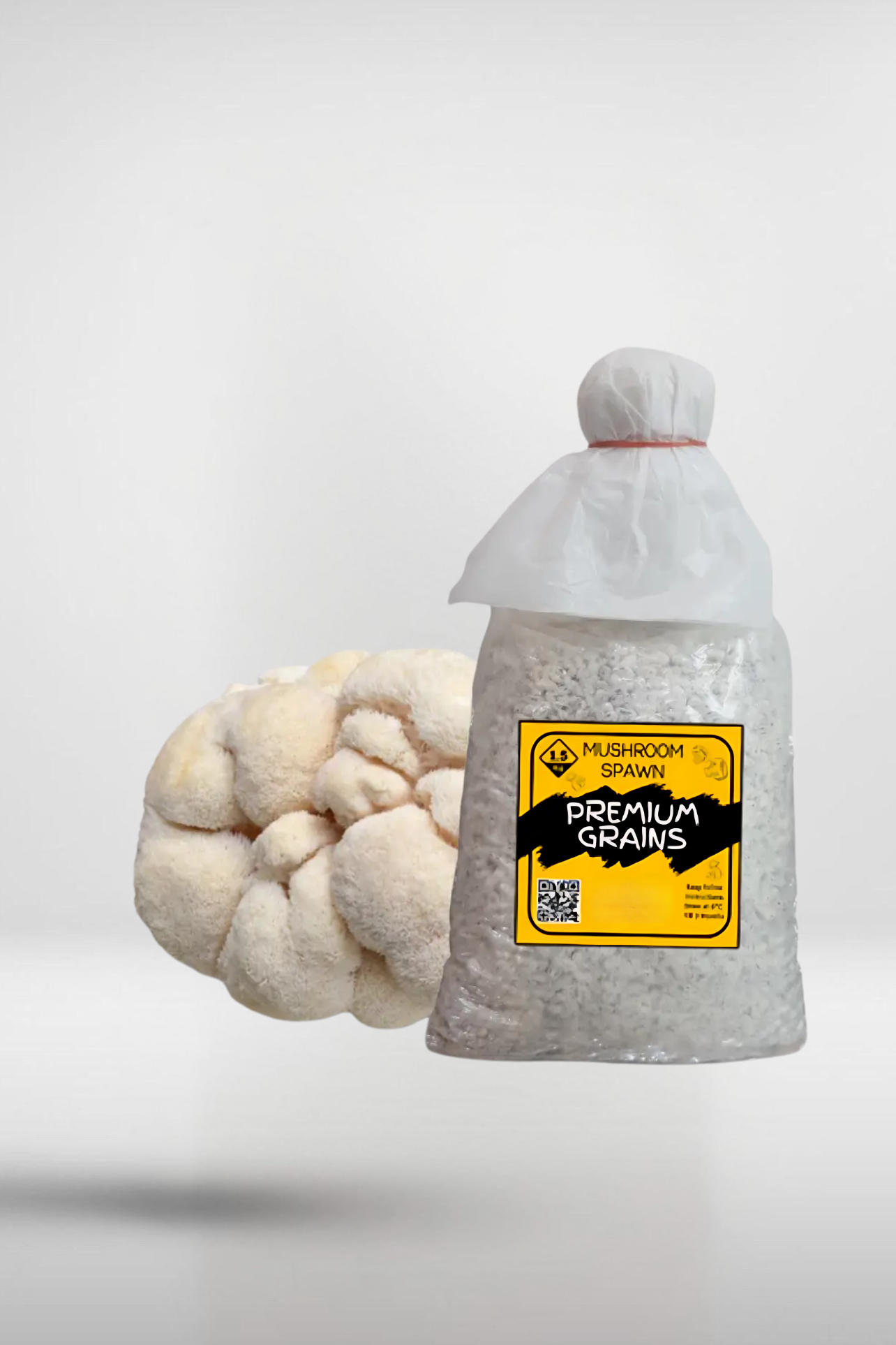 Lion’s Mane Mushroom Grain Spawn – 1.5kg | Strain 118