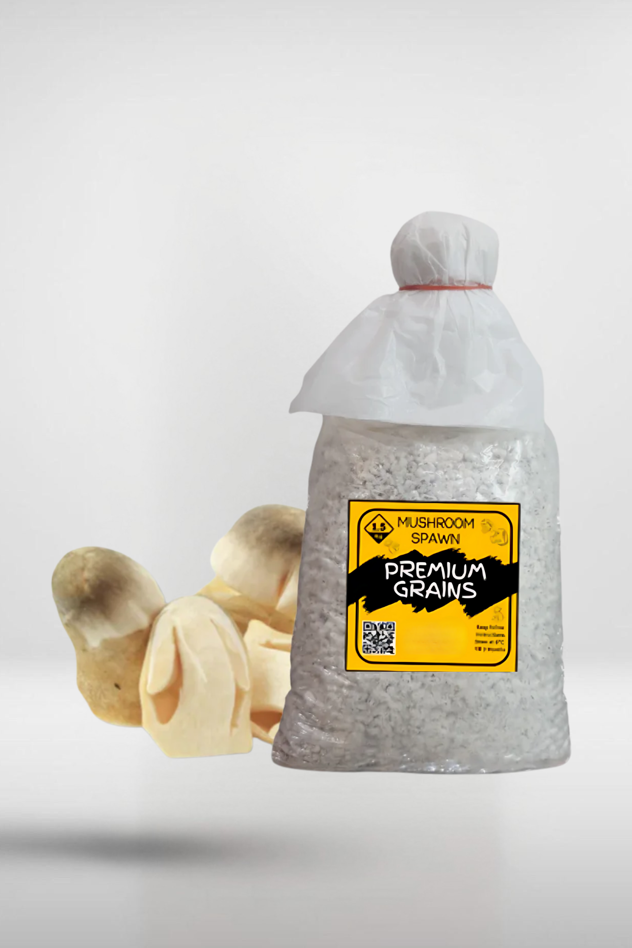Paddy Straw Mushroom Grain Spawn – 1.5kg | Strain 472
