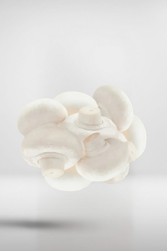 White Button Mushroom Grain Spawn – 1kg High-Yield (599)