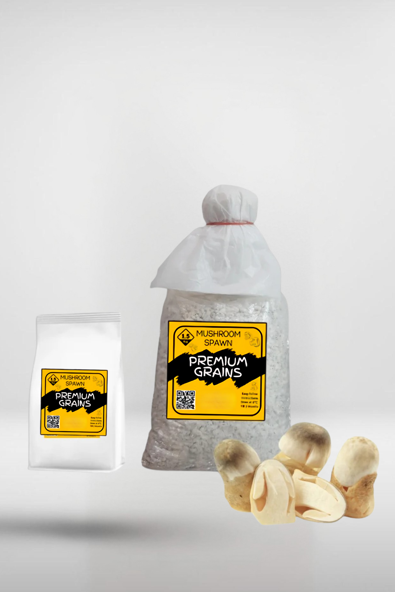 Paddy Straw Mushroom Grain Spawn – 1.5kg | Strain 472