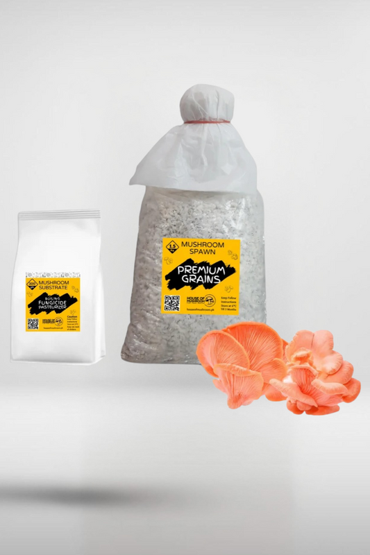 Pink Oyster Mushroom Grain Spawn – 1.5kg | Strain 450