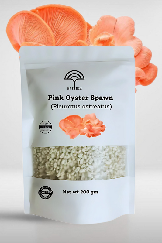 Pink Oyster Mushroom Spawn – 600g Tropical Grow Bag Kit