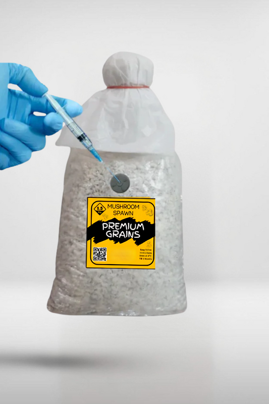 Sterilized Grain Bag – 1.5kg | Self-Healing Injection Port