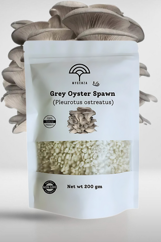 Mini Oyster Mushroom Spawn Bags – 600g Tropical Growing Kit