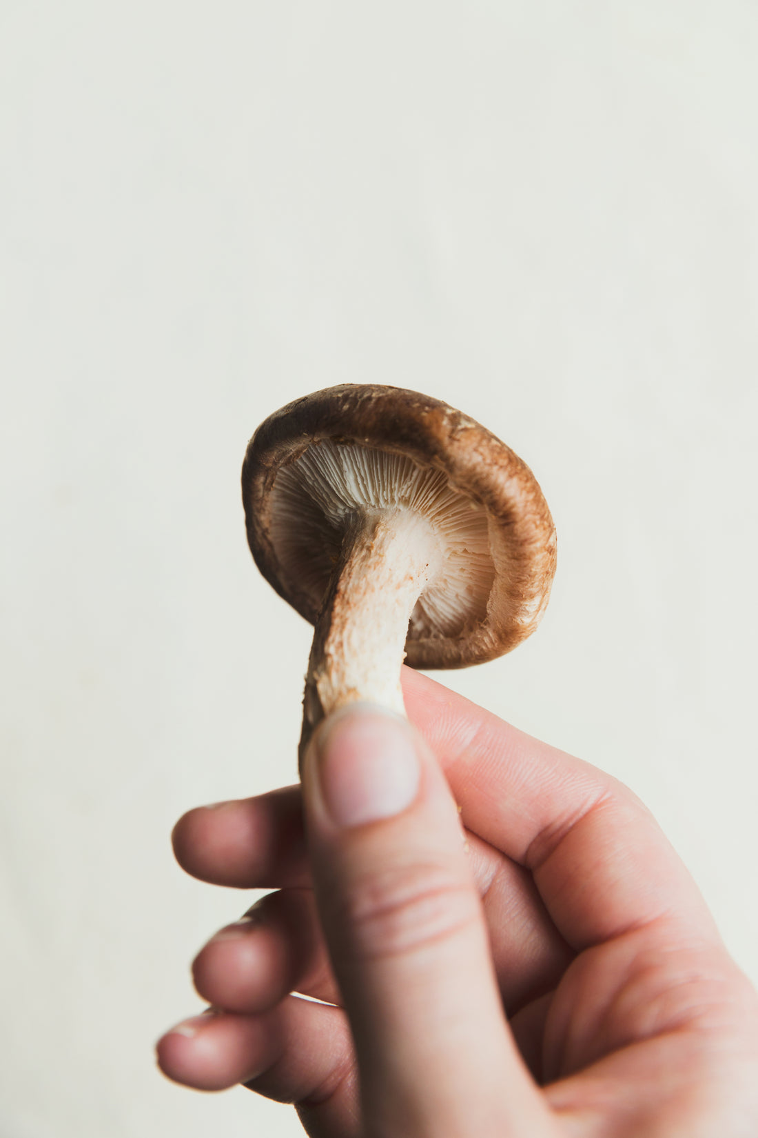 Why mushrooms