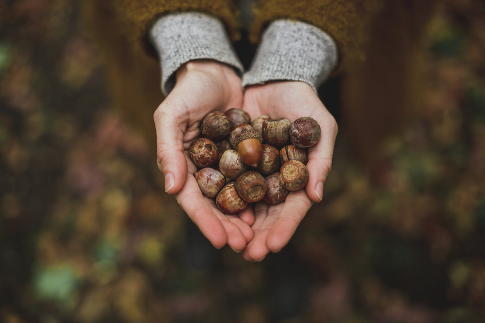 Energy and vitality