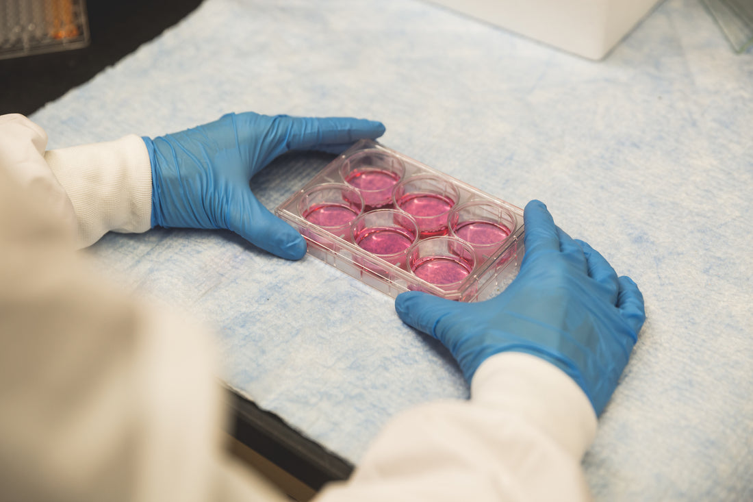 Science and research